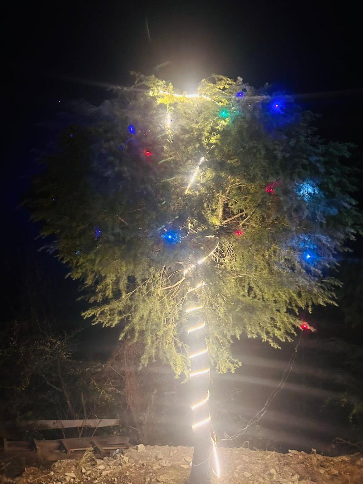 Tree Hub Jibhi Apartamento Exterior foto